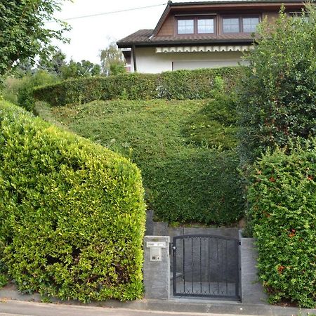 Ferienwohnung Kaiserstuhlblick Teningen Екстериор снимка