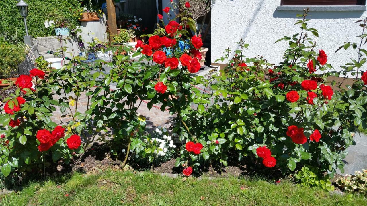 Ferienwohnung Kaiserstuhlblick Teningen Екстериор снимка